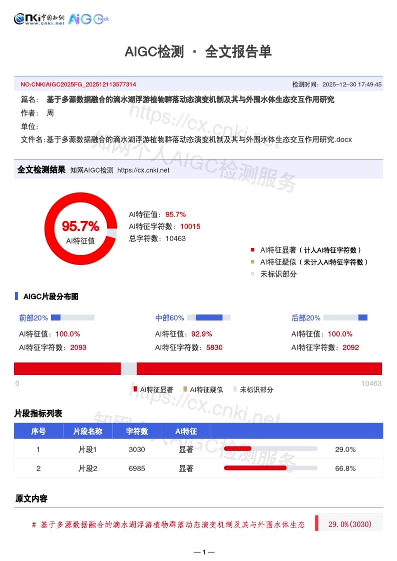 优化前检测报告